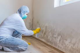 Best Asbestos and Lead Testing During Mold Inspection  in Memphis, MO